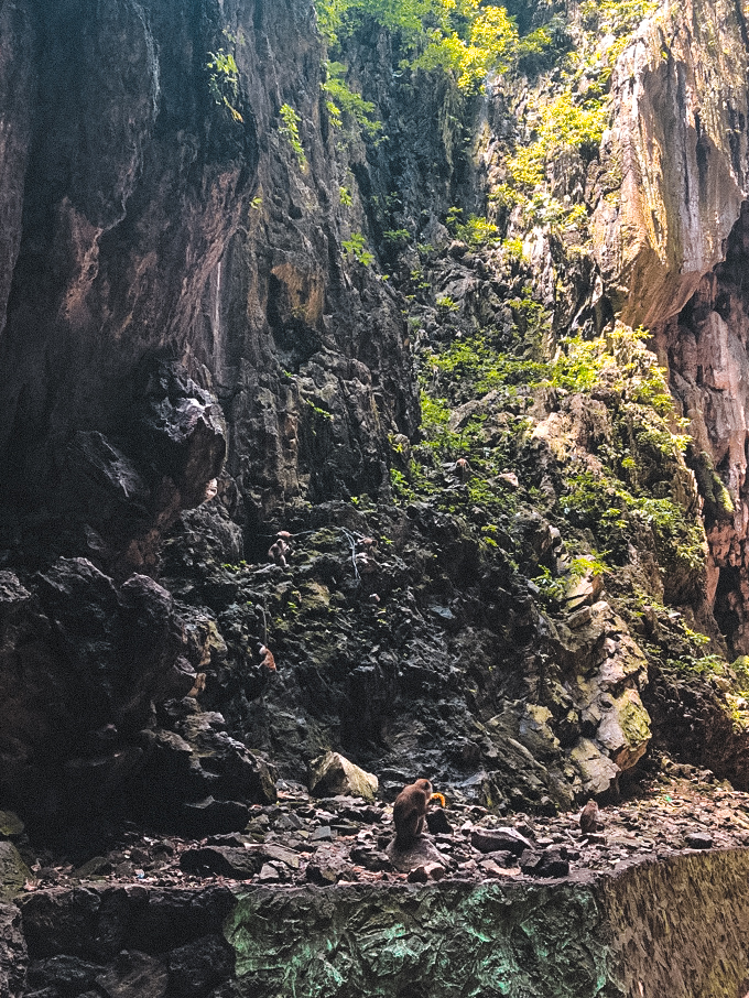 UNADJUSTEDNONRAW_thumb_6d26