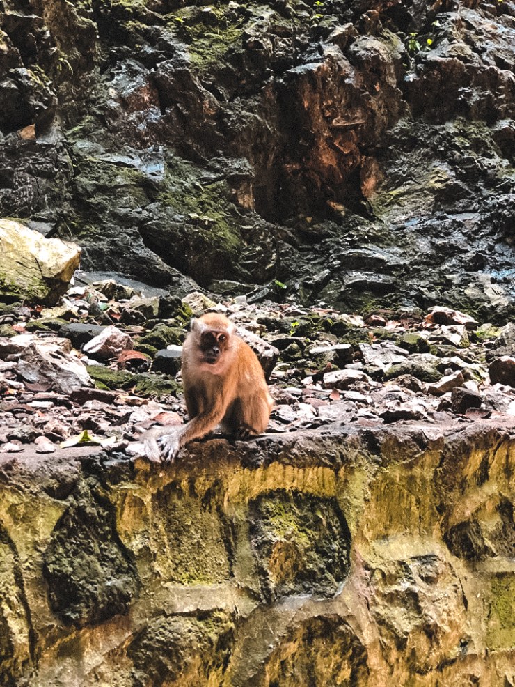 UNADJUSTEDNONRAW_thumb_6d2d