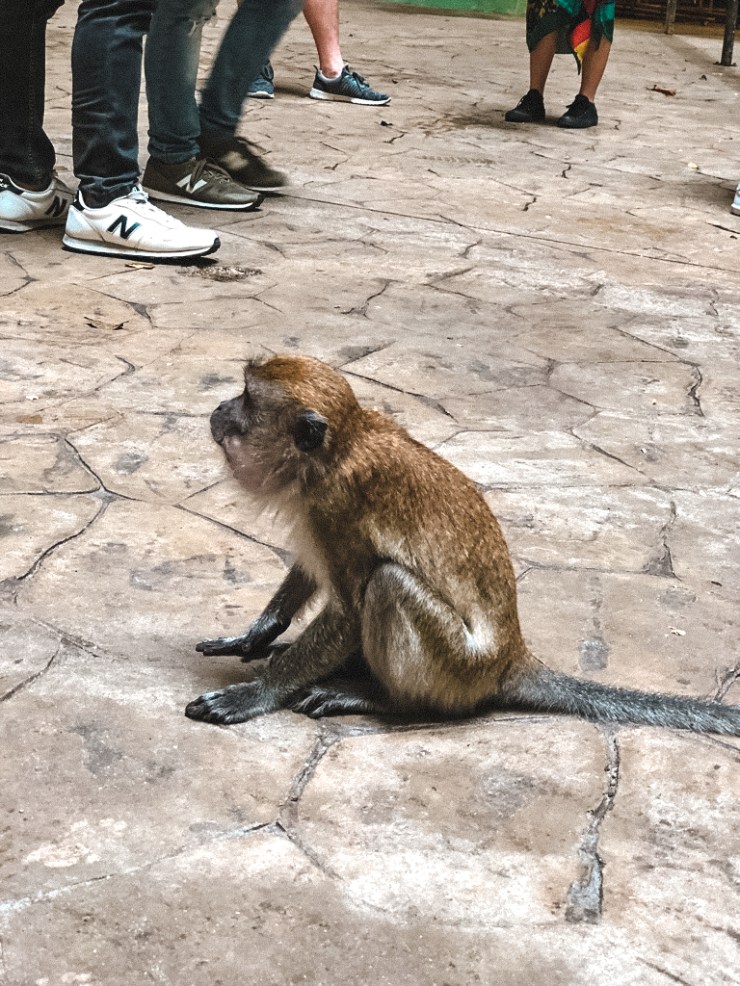 UNADJUSTEDNONRAW_thumb_6d30