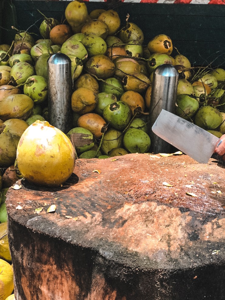 UNADJUSTEDNONRAW_thumb_6d43